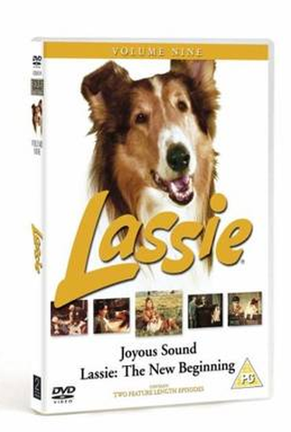 Poster 1 de Filme Lassie: A New Beginning (1978)