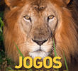 Jogos Felinos