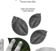 Meu Lápis Verde