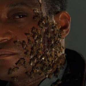 Foto de perfil de Vinicius