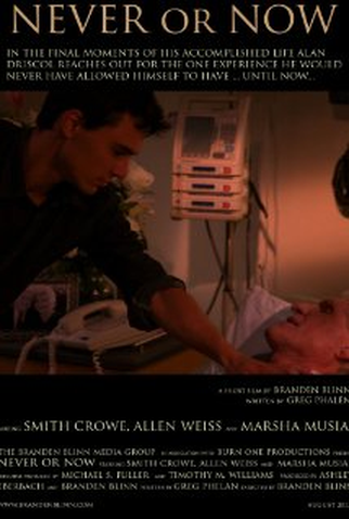 Poster 1 de Curta Never or Now (2014)