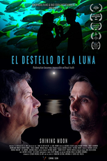 Shining Moon (El Destello de la Luna)