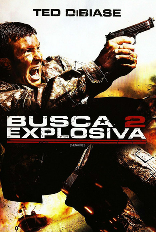 Poster 2 de Filme Busca Explosiva 2 (2009)