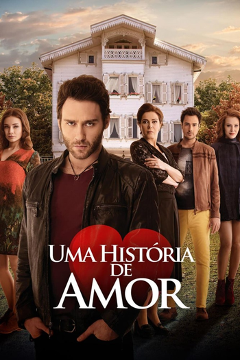 Poster de Franquia Bir Aşk Hikayesi (2013)