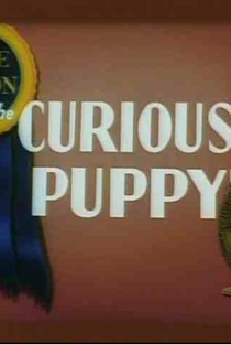 The Curious Puppy  - Poster / Capa / Cartaz - Oficial 1