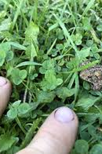  de Filme Say Goodbye (1970)