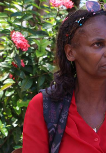 Nascida Pra Brilhar (Nascida Pra Brilhar)