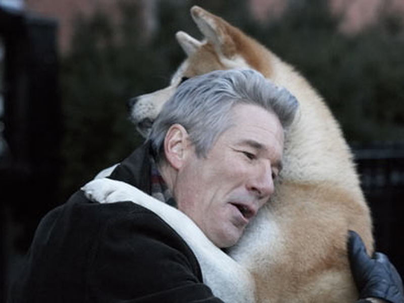 Foto 6 de Sempre ao Seu Lado