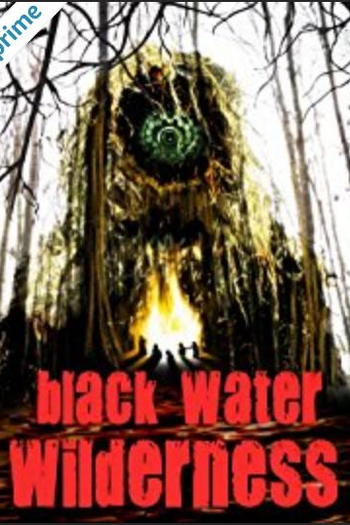 Poster de Filme Black Water Wilderness (2015)
