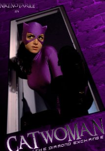 Catwoman: The Diamond Exchange (Catwoman: The Diamond Exchange)
