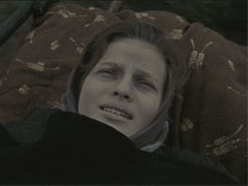 Foto 22 de Franz + Polina 