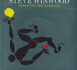 Steve Winwood: While You See a Chance