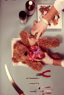 Teddy Has an Operation - Poster / Capa / Cartaz - Oficial 1