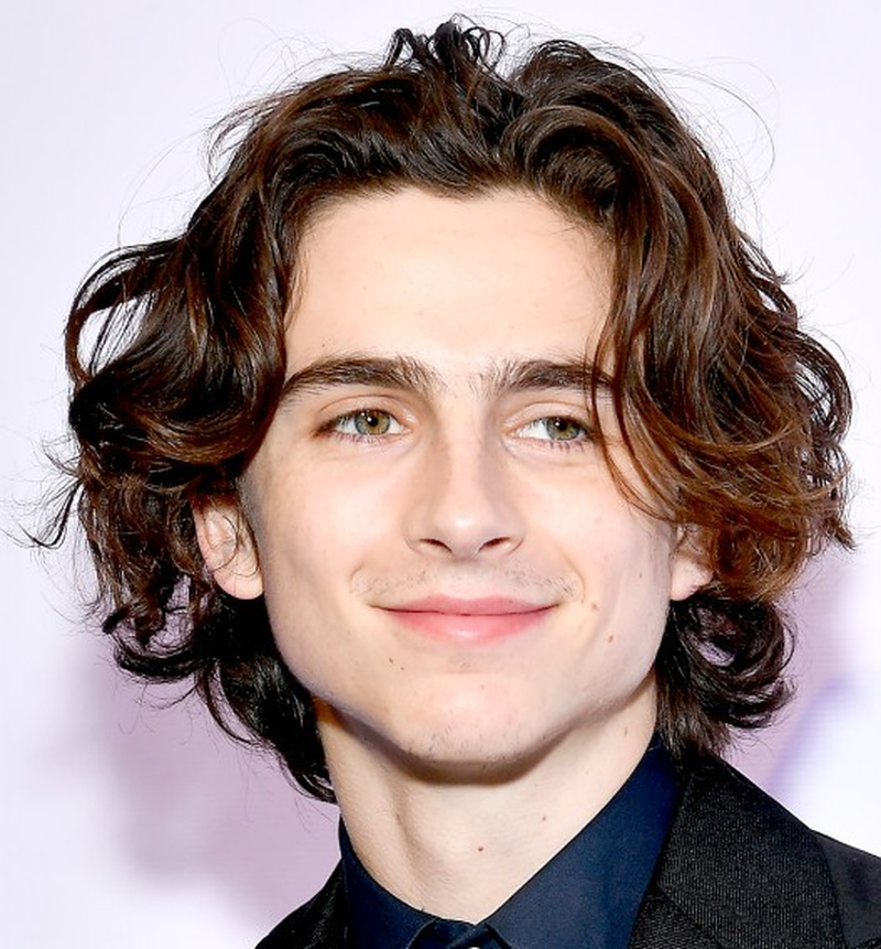 Timothée Chalamet - Foto 9