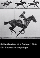 O Cavalo em Movimento (Sallie Gardner at a Gallop)