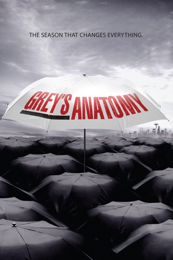  de Série A Anatomia de Grey (6ª Temporada) (2009)