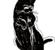 O Gato