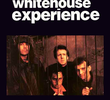 The Mary Whitehouse Experience