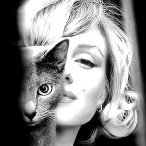 Foto de perfil de André