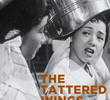 The Tattered Wings
