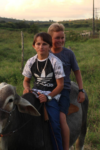 Poster de Curta Carretéis (2018)