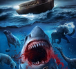 Noah’s Shark