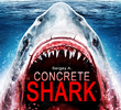 Concrete Shark