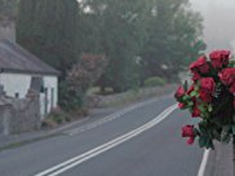 Foto 1 de No Stone Unturned