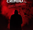 Investigação Criminal: Crimes Perversos (1ª Temporada)