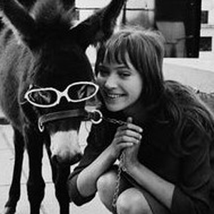 Foto de perfil de Catarina