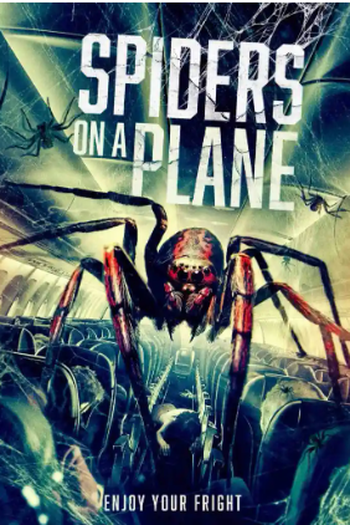 Poster de Filme Spiders on a Plane (2024)