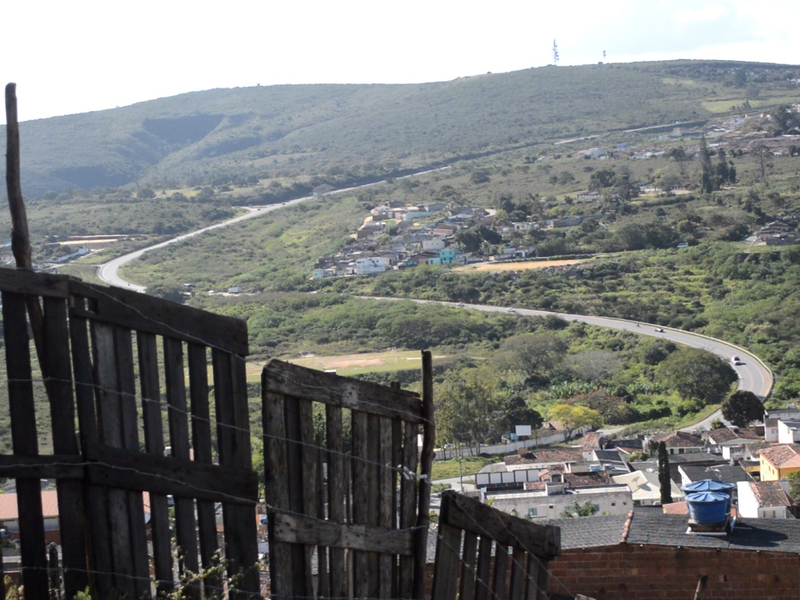 Foto 11 de O Guará e o Anum