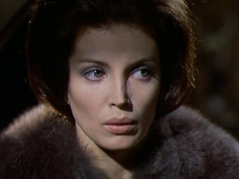 Foto 22 de A Casa da Noite Eterna