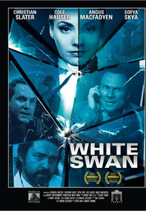 Na Mira da Morte (Assassins Run)