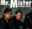 Mr. Mister: Broken Wings