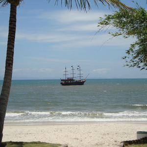 Foto de perfil de Aline
