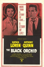 A Orquídea Negra (The Black Orchid)