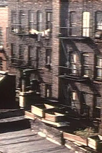 Poster de Curta East Side Summer (1953)