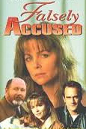 Poster de Filme Erro de Acusação (1993)