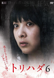 Torihada 6 (トリハダ 6)