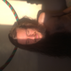 vinealves