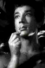 Spring Night (Spring Night)