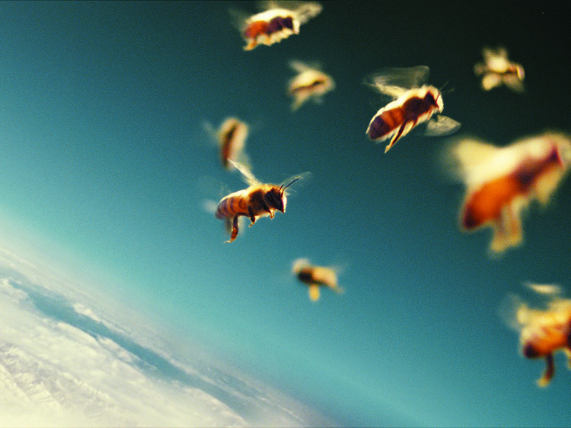 Foto 1 de Mais que Mel