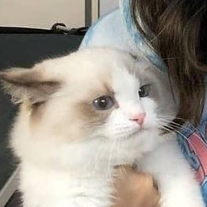 Foto de perfil de muckerfoi