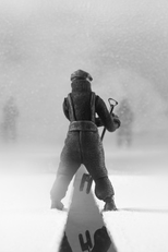 Freeze Frame (Freeze Frame)