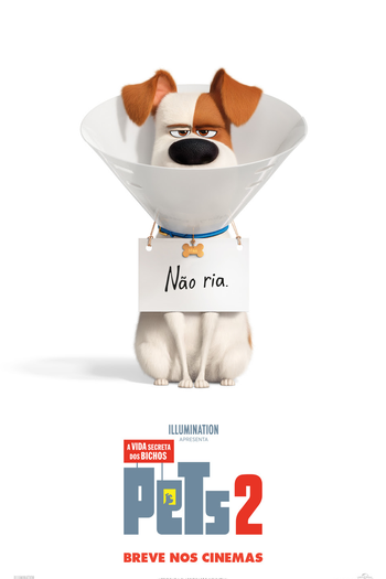  de Filme Pets - A Vida Secreta dos Bichos 2 (2019)