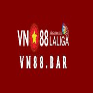 Foto de perfil de VN88
