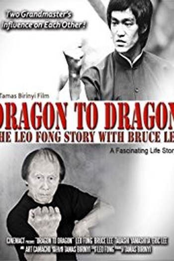 Poster de Filme Dragon to Dragon (2018)