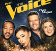 The Voice (21ª Temporada)