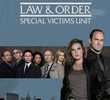 Lei & Ordem: Unidade de Vítimas Especiais (8ª Temporada)